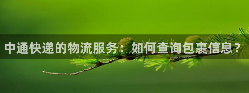 28圈官网链接