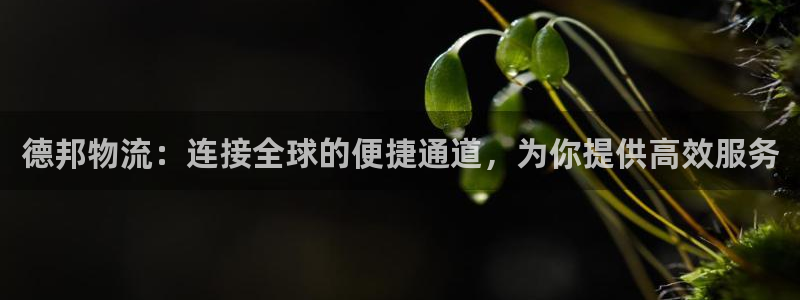 28圈加拿大是什么：德邦物流：连接全