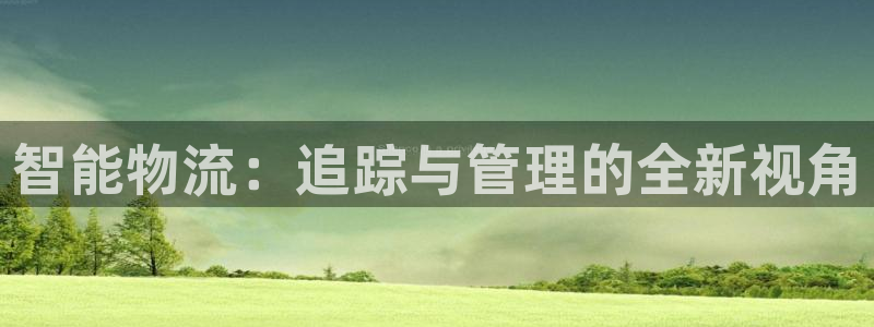 28圈注册登录：智能物流：追踪与管理