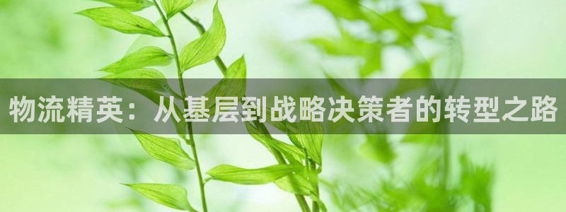 28圈辅助：物流精英：从基层到战略决策者的转型之路