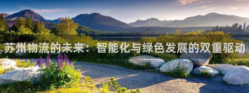 28圈如何退款
