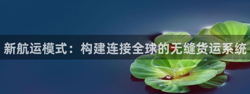 28圈p扣除是什么意思