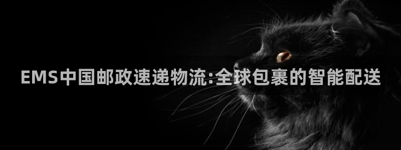 28圈下载不了：EMS中国邮政速递物