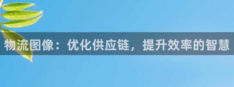 28圈是啥：物流图像：优化供应链，提