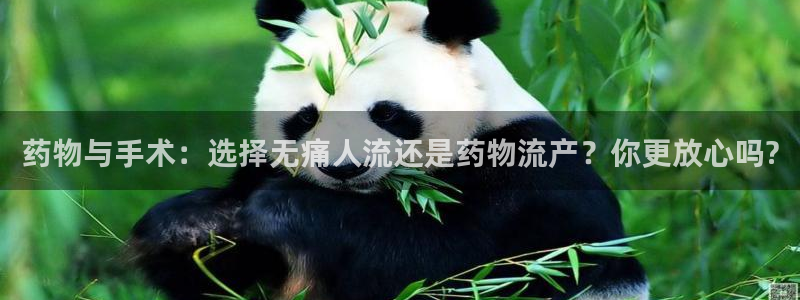 28圈退款教程：药物与手术：选择无痛