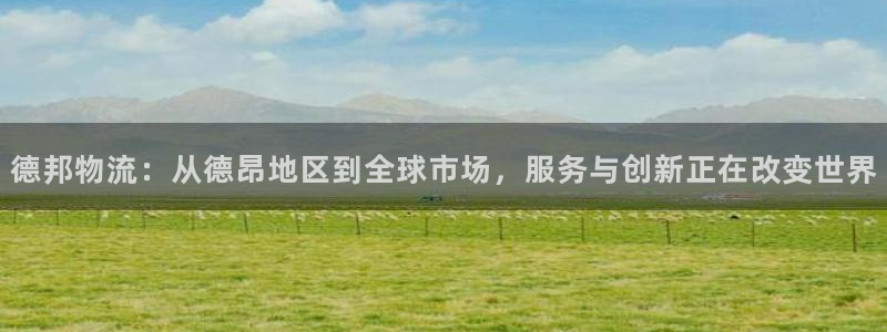 28圈合法吗：德邦物流：从德昂地区到