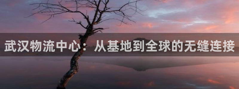 28圈连输10天：武汉物流中心：从基地到全球的无缝连接
