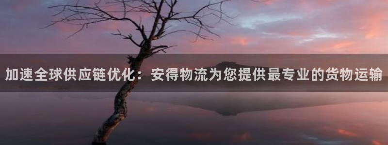 28圈登录流程：加速全球供应链优化：