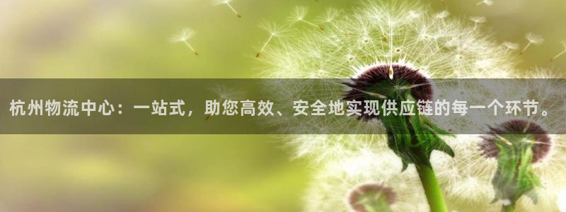 28圈注册条件：杭州物流中心：一站式，助您高效、安全地实现供