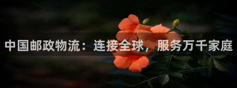 28圈加拿大走势：中国邮政物流：连接全球，服务万千家庭