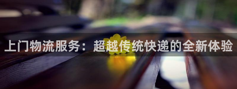 28圈官网版下载：上门物流服务：超越