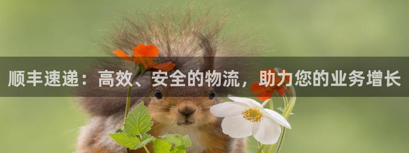 28圈app注册地址：顺丰速递：高效