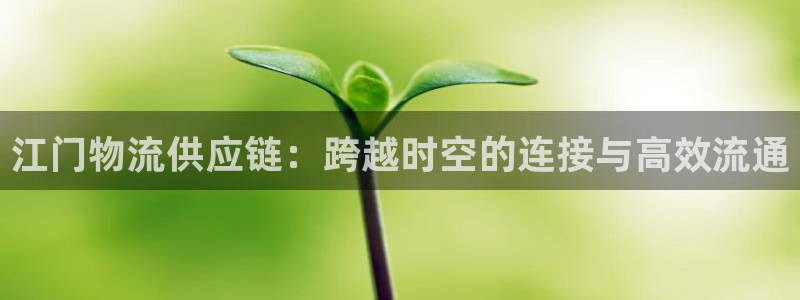 28圈aPP退款：江门物流供应链：跨越时空的连接与高效流通