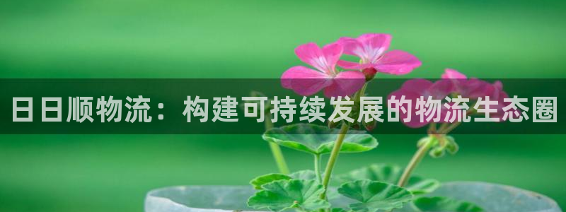 28圈加拿大怎么玩：日日顺物流：构建