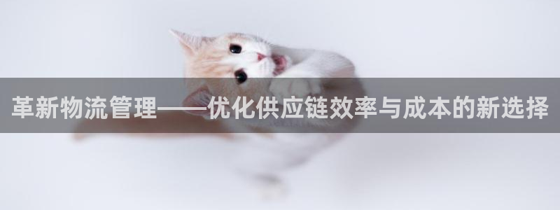 28圈官网版下载：革新物流管理——优