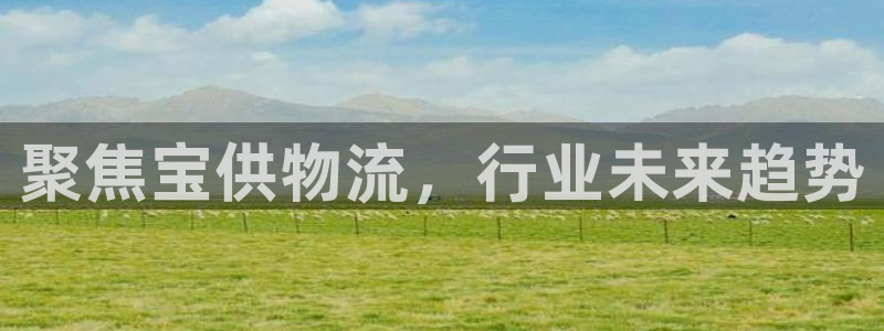 28圈加拿大pc预测：聚焦宝供物流，