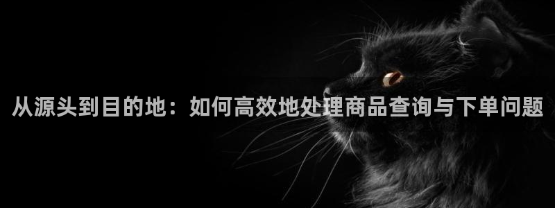 28圈为什么没有赢过一次：从源头到目