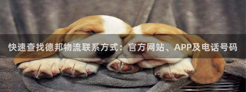 28圈链官网：快速查找德邦物流联系方