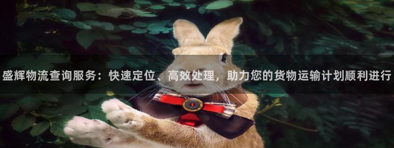 28圈能赢钱吗